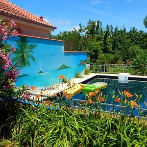 Bed & Breakfast 2 Et Salle De Bain Un Oasis De Bien Etre Piscine Et Jardin Direct Gare Aeroport, Toulouse